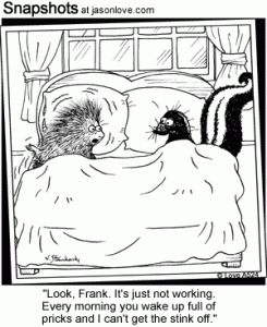 00769-funny-cartoons-porcupine