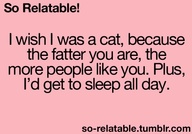 92ccf9c14f6b6a8b855549298d76e629