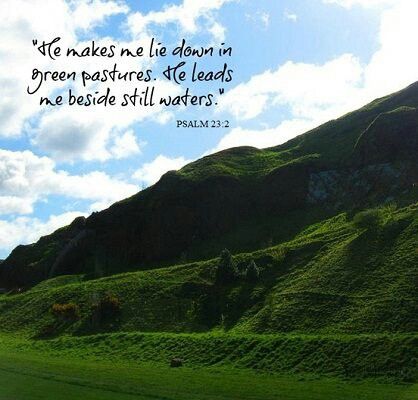 519a9d6602bb15d541c3b7837c29e1e2