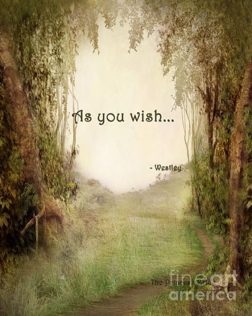 33c456150bc54ccc483b5ad35ac95218