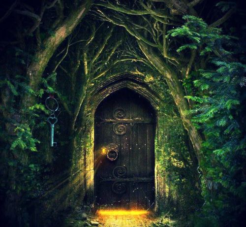 cd0568f6e3cb19843eb1d78a30736143