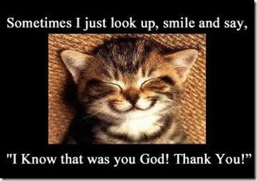 cat_thumb