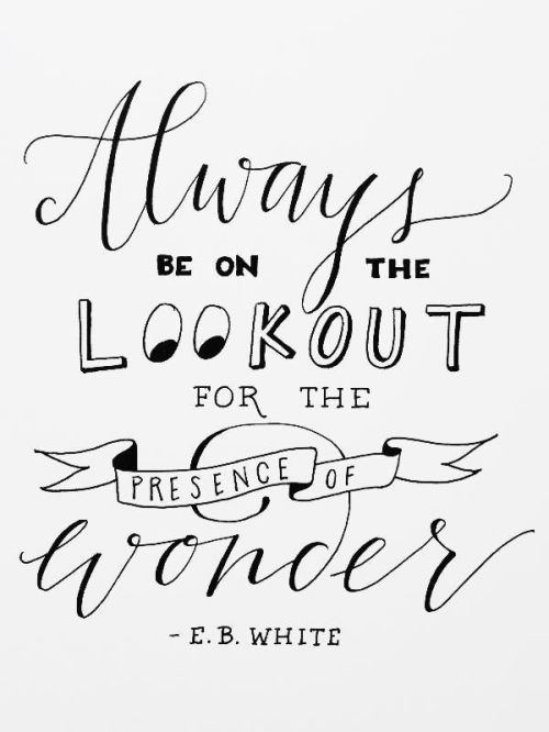 39eb43ee8cb127fbc7865e434605ad22