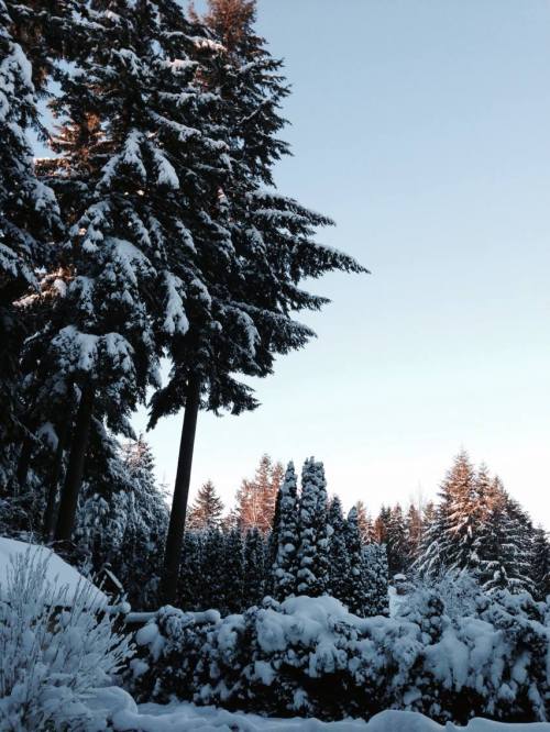 1493326_10152239355305789_1785747878_o-1