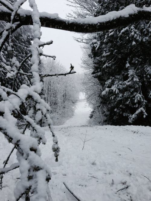 1899502_10152233056125789_1545355437_o