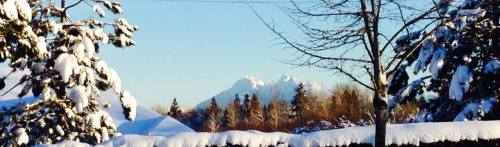 1921197_10152239342150789_66940520_o