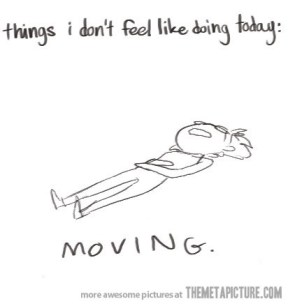 7b32b5a57880df49cb6ca71783fc3d00