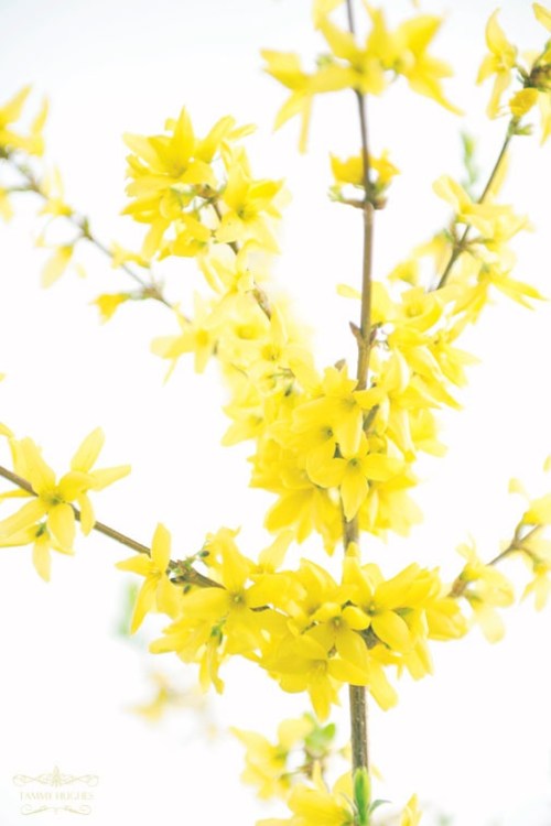 b99fd3b64e2c2ec300b72a01b07b1d54