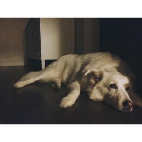 10351802_10152855583535590_6673932177946581782_n