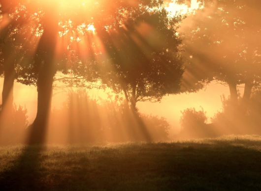 Screen Shot 2017-04-24 at 6.19.31 AM