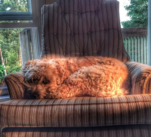 Screen Shot 2017-08-07 at 9.42.32 PM