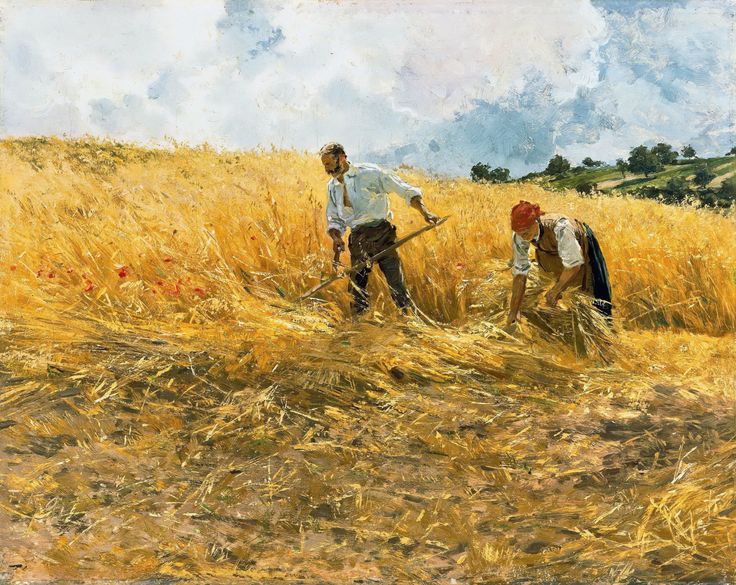 harvest