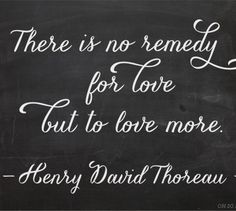 there-is-no-remedy-for-love-but-to-love-more19