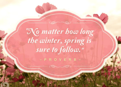 Screen Shot 2018-03-20 at 8.18.25 AM.png