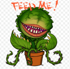 Screen Shot 2018-05-06 at 4.22.50 PM