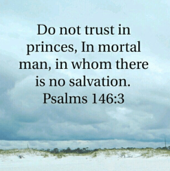 Screen Shot 2018-07-22 at 7.35.26 AM