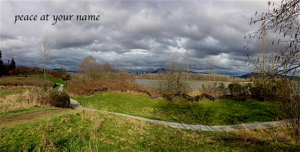 12800227_10153974582335789_8508066981741456812_n