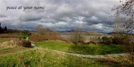 12800227_10153974582335789_8508066981741456812_n