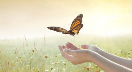 Screen Shot 2018-09-13 at 6.41.01 AM